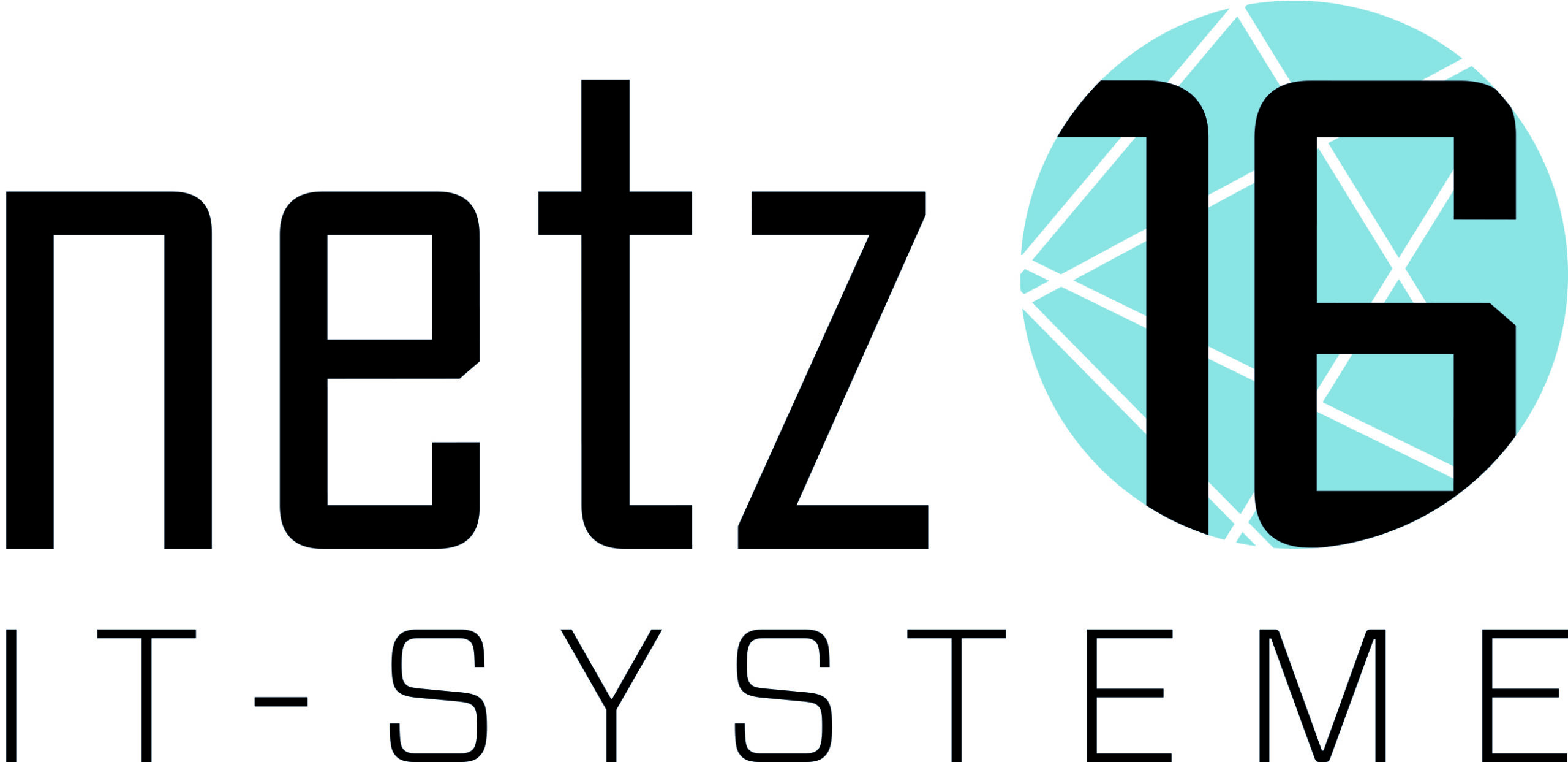 Logo_Netz16 GmbH