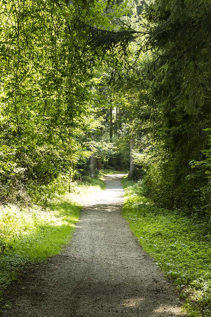 Naturpark Augsburg Westliche Wälder
