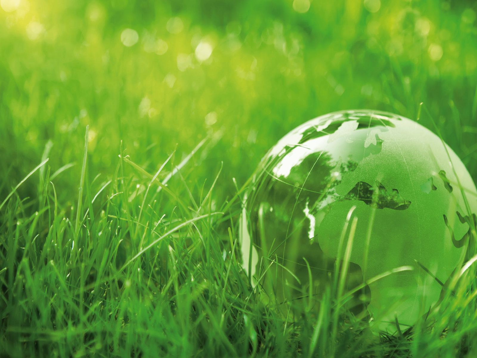 Symbolbild: Immission