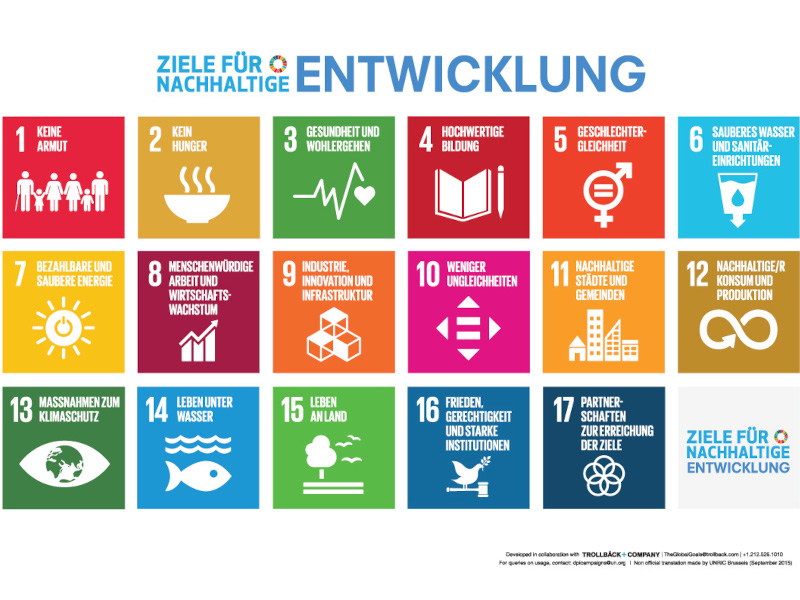 Die 17 „Sustainable Development Goals“ für Nachhaltige Entwicklung