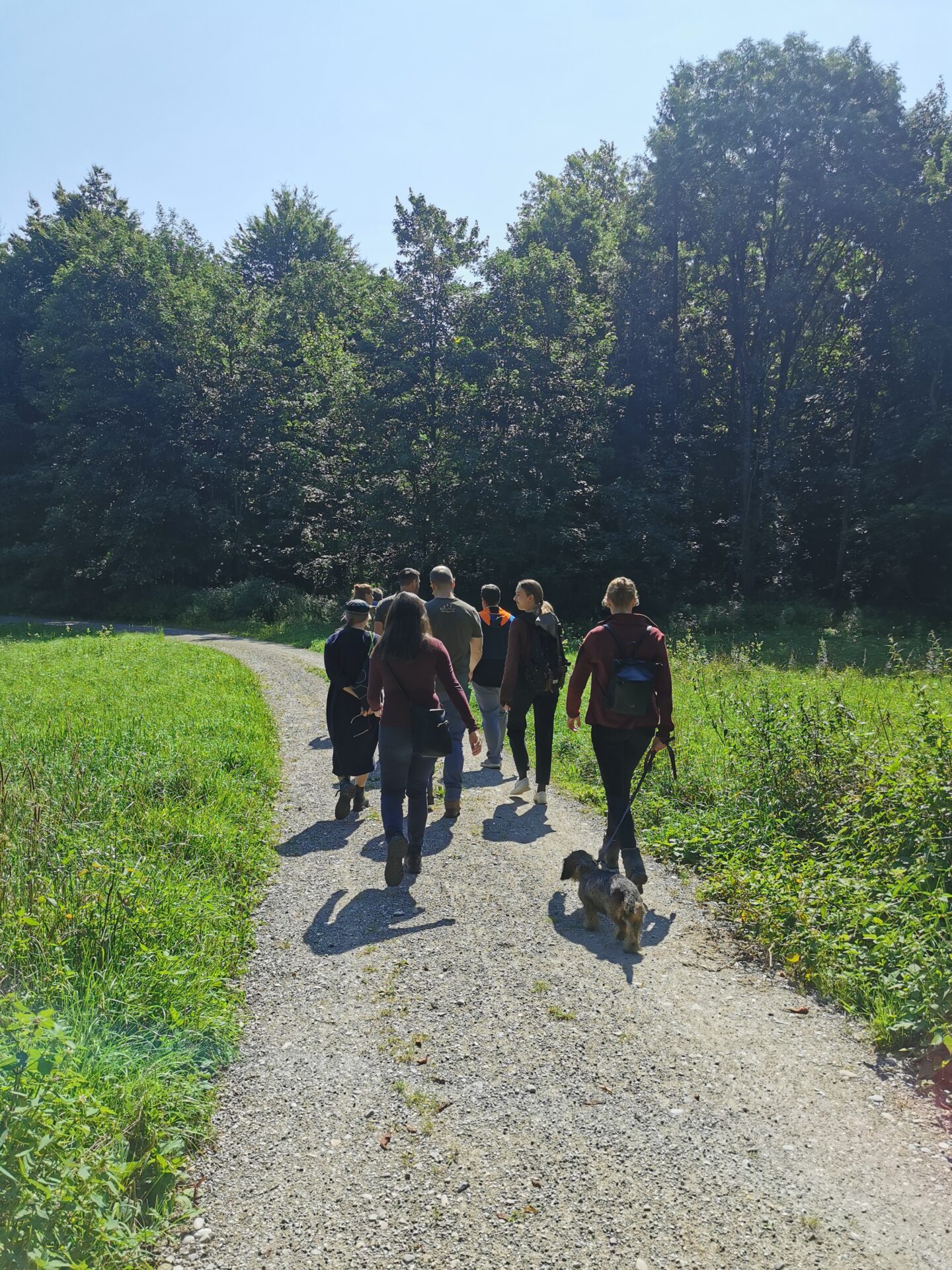 Waldführung "Klimaschutz vor der Haustür", 