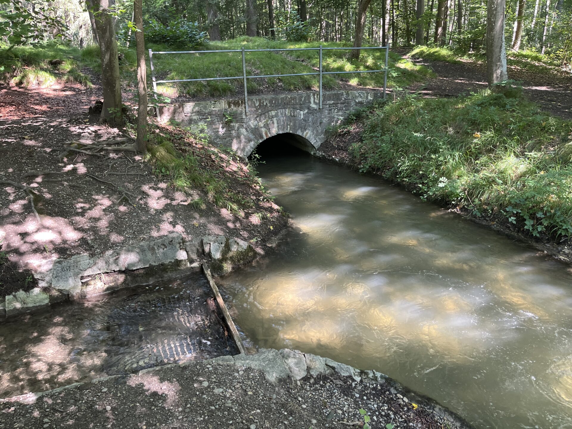 Waldführung "Klimaschutz vor der Haustür", 