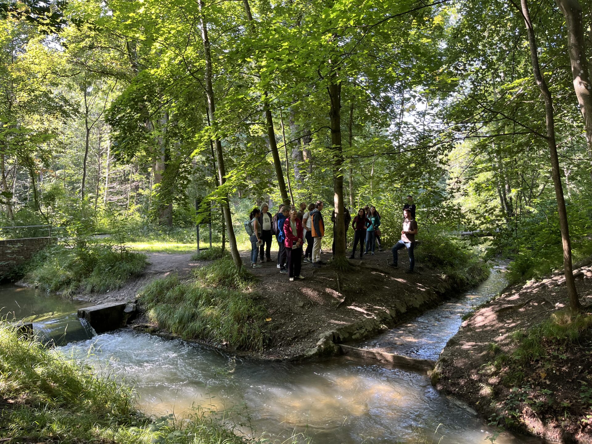 Waldführung "Klimaschutz vor der Haustür", 