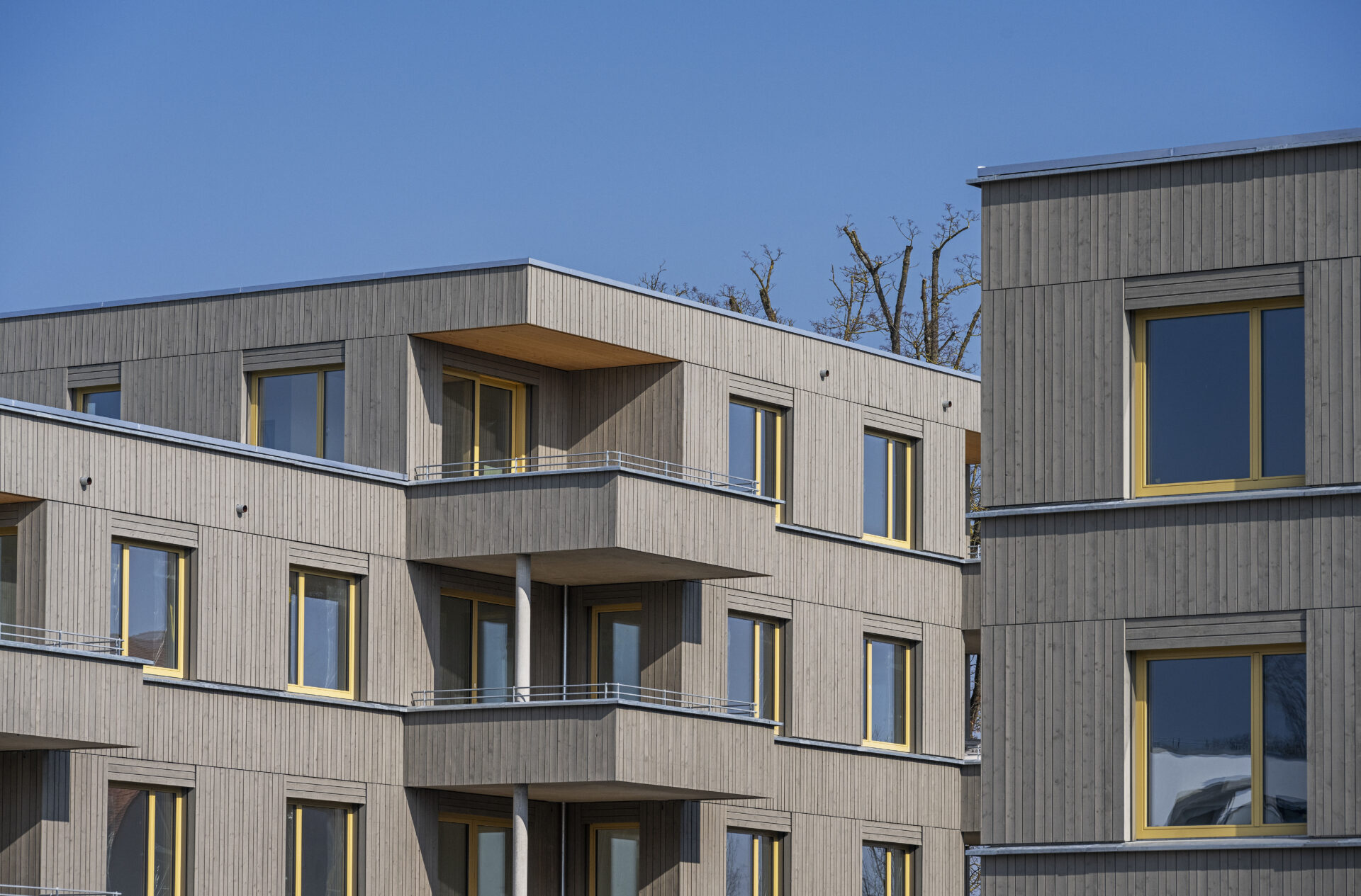 Baugemeinschaft Sheridan Park & Junia, Lattke Architekten (Architektur trifft Holz 2025)