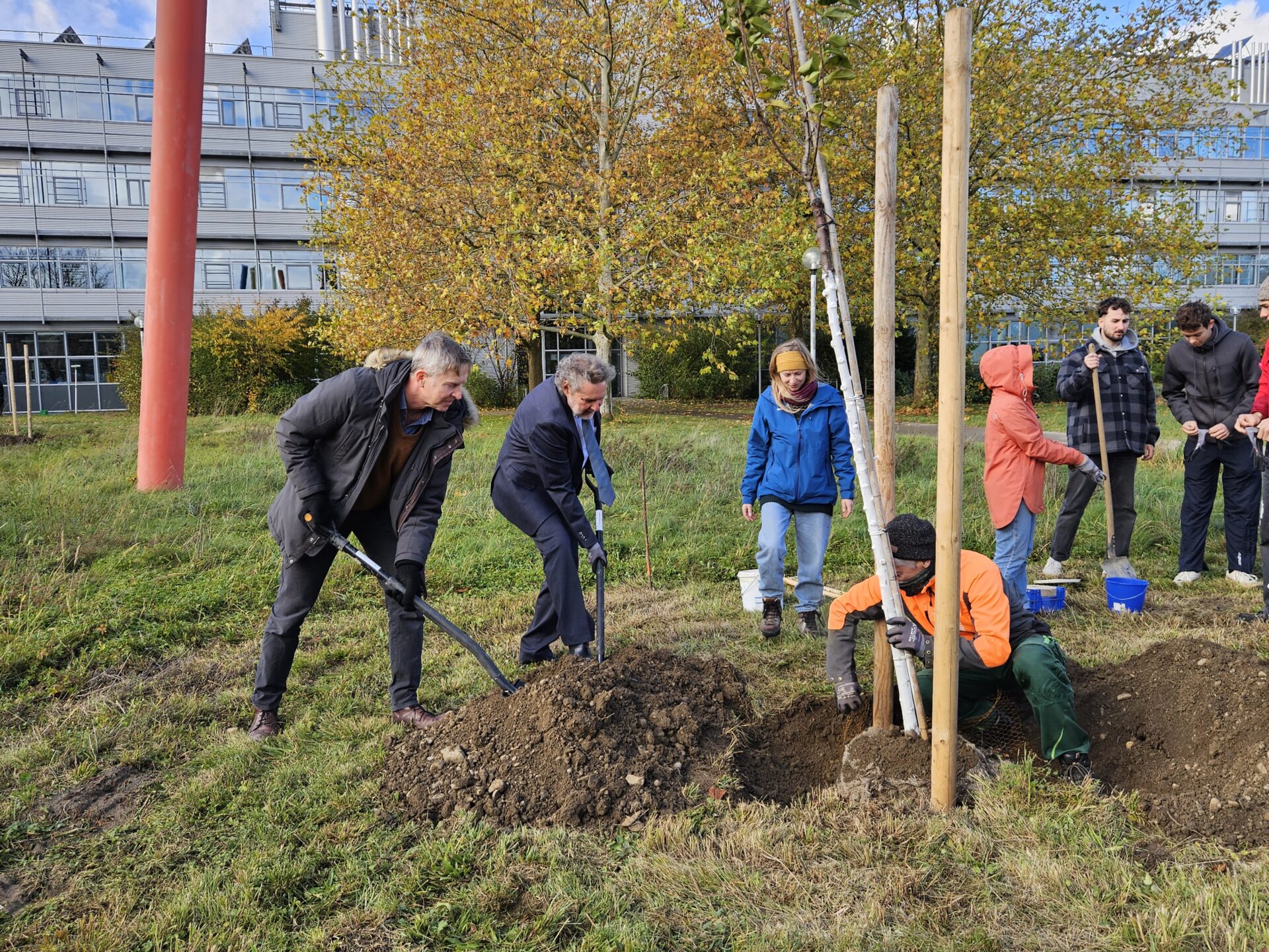 Pflanzaktion Streuobstwiese
